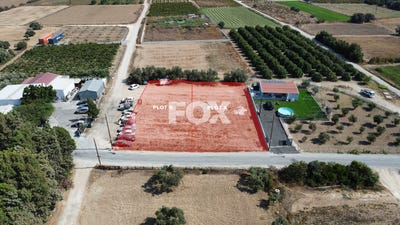 /international/cy/kolossi-larnaca-310108406684/