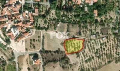 /international/cy/doros-limassol-310100739562/