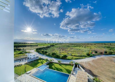 /international/cy/kazivera-nicosia-310098732316/