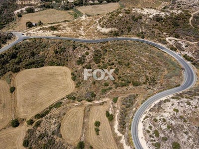/international/cy/pissouri-limassol-310105948796/