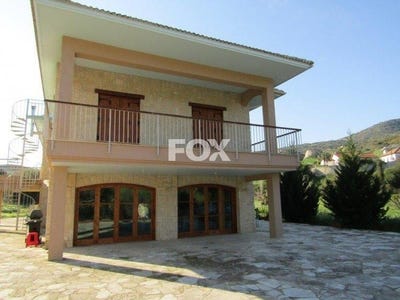 /international/cy/foinikaria-limassol-310105949245/