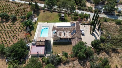 /international/cy/laneia-limassol-120092798367/