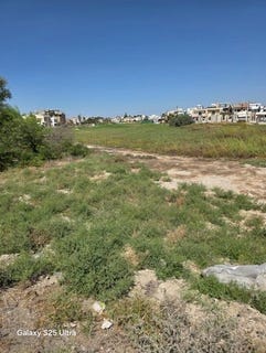 /international/cy/larnax-larnaca-120059377614/