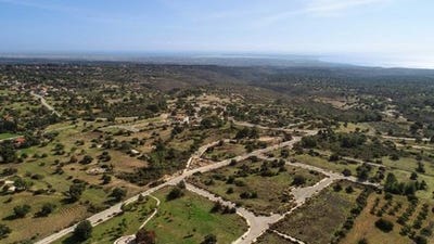 /international/cy/limassol-limassol-310106196134/