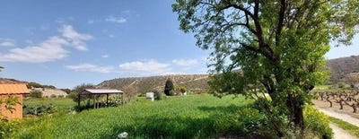 /international/cy/pissouri-limassol-120092797802/