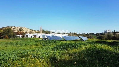 /international/cy/kalavasos-larnaca-310105948539/