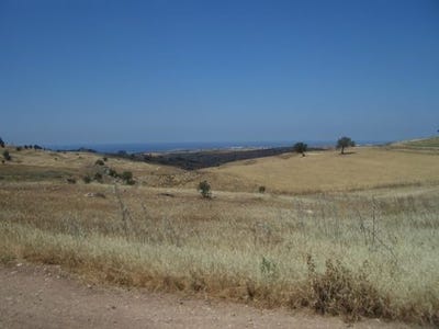 /international/cy/souskiou-limassol-310108422354/