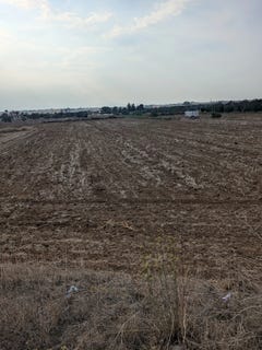 /international/cy/nicosia-nicosia-310101601353/