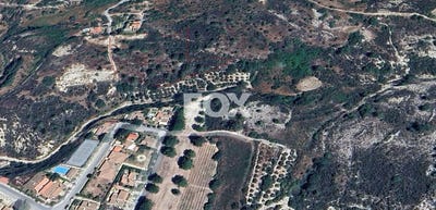 /international/cy/trimiklini-limassol-310105947126/