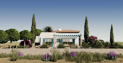 /international/cy/limassol-limassol-310106195796/