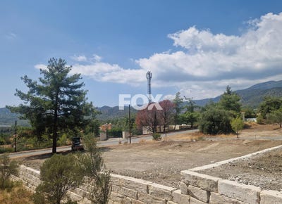 /international/cy/trimiklini-limassol-310102874105/