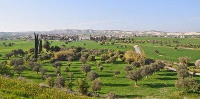 /international/cy/larnax-larnaca-310104958947/