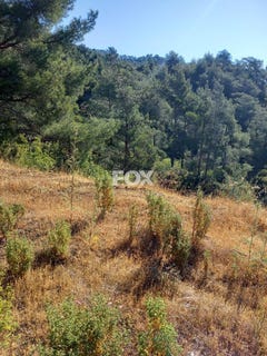 /international/cy/moniatis-limassol-310105946999/