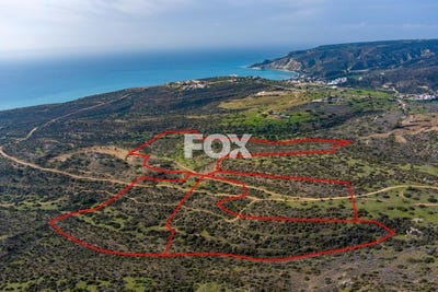 /international/cy/pissouri-limassol-310105949043/