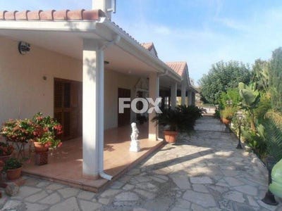 /international/cy/foinikaria-limassol-310105949197/