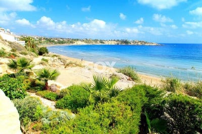 /international/cy/chlorakas-paphos-310099575514/
