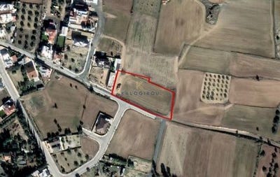 /international/cy/larnaca-larnaca-310104800161/