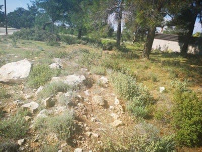/international/cy/souni-limassol-120092796473/