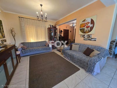 /international/cy/louvaras-limassol-310106159227/