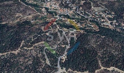 /international/cy/moniatis-limassol-310100113259/?lang=en