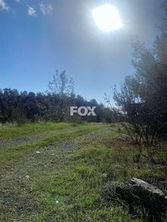 /international/cy/moniatis-limassol-310105948311/