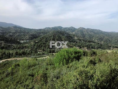 /international/cy/troodos-limassol-310105948874/