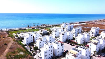 /international/cy/kazivera-nicosia-310102608953/