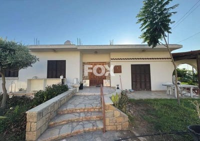 /international/cy/chlorakas-paphos-310101208536/?lang=zh-tw