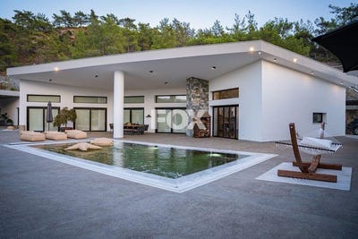 /international/cy/louvaras-limassol-310105949551/