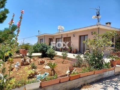 /international/cy/agios-therapon-limassol-310105948277/