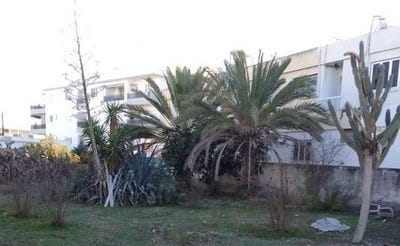 /international/cy/andrea-avraamidi-74-strovolos-nicosia-nicosia-120089960513/?lang=en