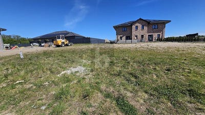 /international/de/susel-schleswig-holstein-310108482306/
