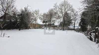 /international/de/buchen-odenwald-baden-wurttemberg-310108320174/
