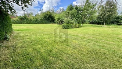 /international/de/leck-schleswig-holstein-310101441164/
