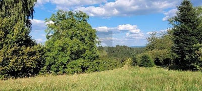 /international/de/schwabisch-gmund-baden-wurttemberg-310108262349/