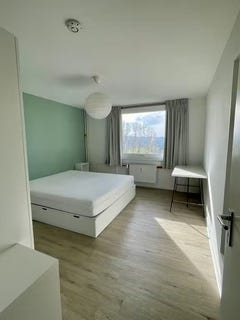 /international/de/rostocker-strasse-stuttgart-baden-wurttemberg-310108240746/