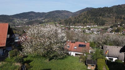 /international/de/buhlertal-baden-wurttemberg-310107914534/