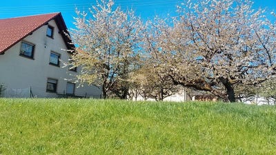 /international/de/schomberg-baden-wurttemberg-310108211935/