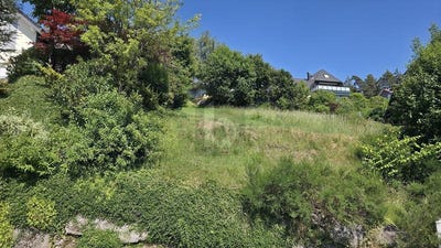 /international/de/schonach-im-schwarzwald-baden-wurttemberg-310109124305/