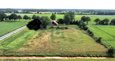 /international/de/haren-lower-saxony-310101015331/?lang=zh-tw