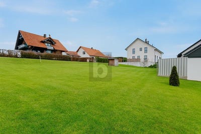 /international/de/dasing-bavaria-310107904457/