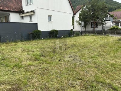 /international/de/dettingen-an-der-erms-baden-wurttemberg-310108784552/