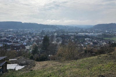 /international/de/lorrach-baden-wurttemberg-310108758244/