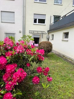 /international/de/falkensteiner-strasse-eschborn-hesse-310093873721/