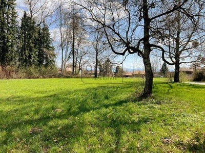 /international/de/berg-dietramszell-berg-bavaria-310101515155/?lang=en