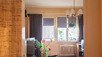 /international/de/koloniestrasse-148-13357-berlin-germany-berlin-berlin-310108042950/