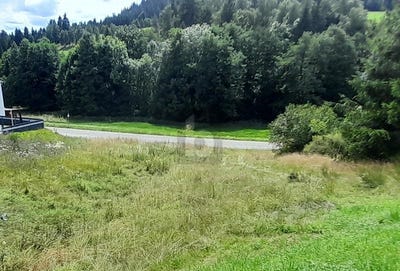 /international/de/lauterbach-baden-wurttemberg-310101278587/