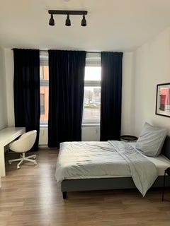 /international/de/lichtstrasse-koln-north-rhine-westphalia-310096465513/