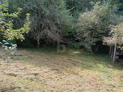 /international/de/merzig-saarland-310108110684/