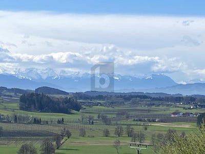 /international/de/grunkraut-baden-wurttemberg-310109123183/?lang=de